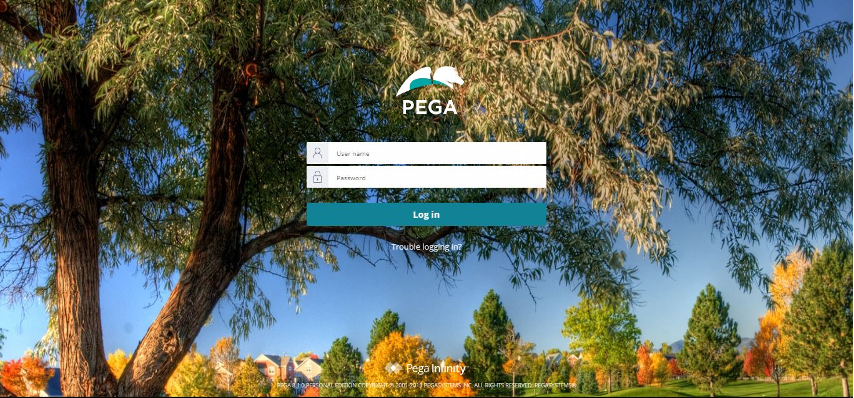 An example of a customized login screen 
